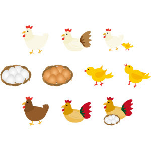 かっこいい かわいい 鶏 イラスト ただの動物の画像