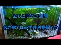 最高のコレクション メダカ 水槽 掃除の仕方 332503-メダカ 水槽 掃除の仕方