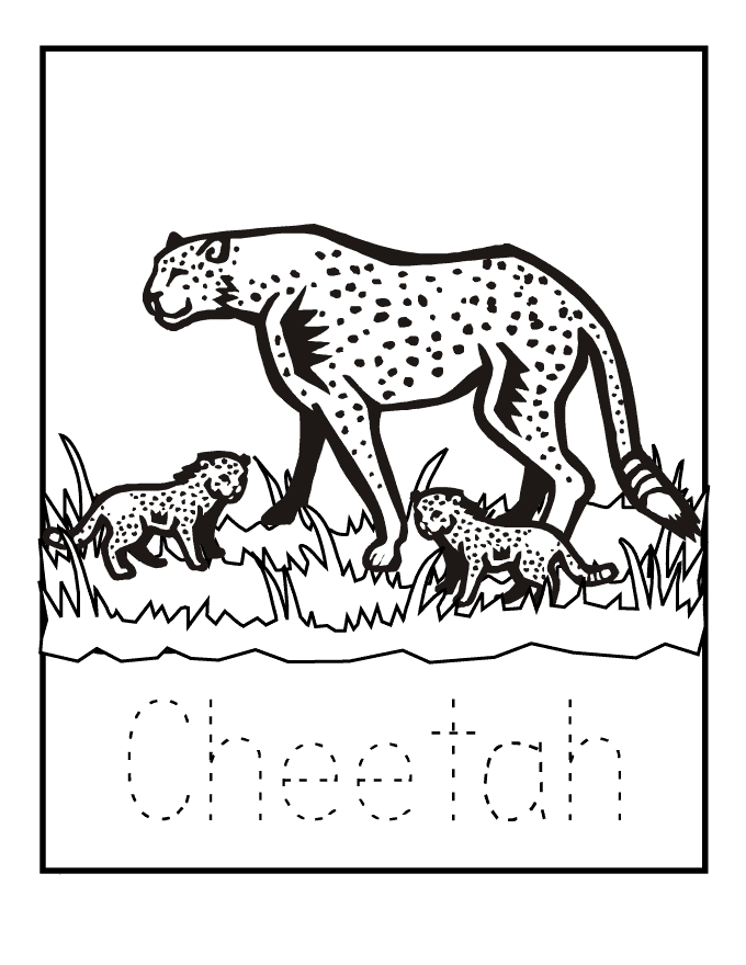 Cheetah coloring pages to download and print for free
