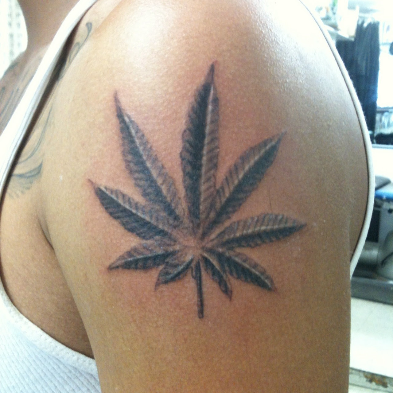 http://25.media.tumblr.com/tumblr_m3ry8pNGJh1rve9uyo2_1280.jpg