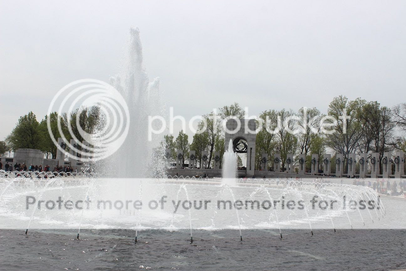  photo DC61_zpsc673d99d.jpg