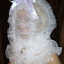 Sissy Baby Slave Tonya / We did not find results for: