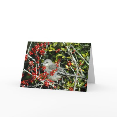Christmas Bird cards