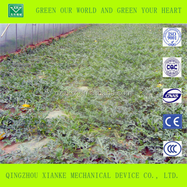 Low Cost Vegetable Plastic Greenhouse For cantaloupe, View greenhouse    greenhouse plastic cost
