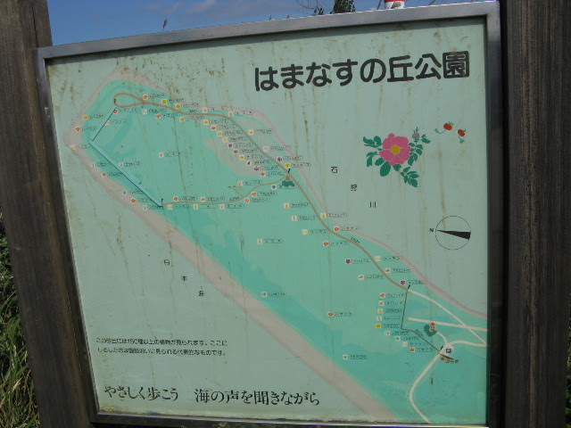 はまなすの丘公園
