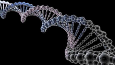 DNA (SPL)