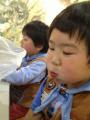 IMG_2568 (640x480)