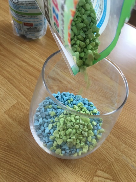 テーブルヤシをハイドロカルチャーで植え替え