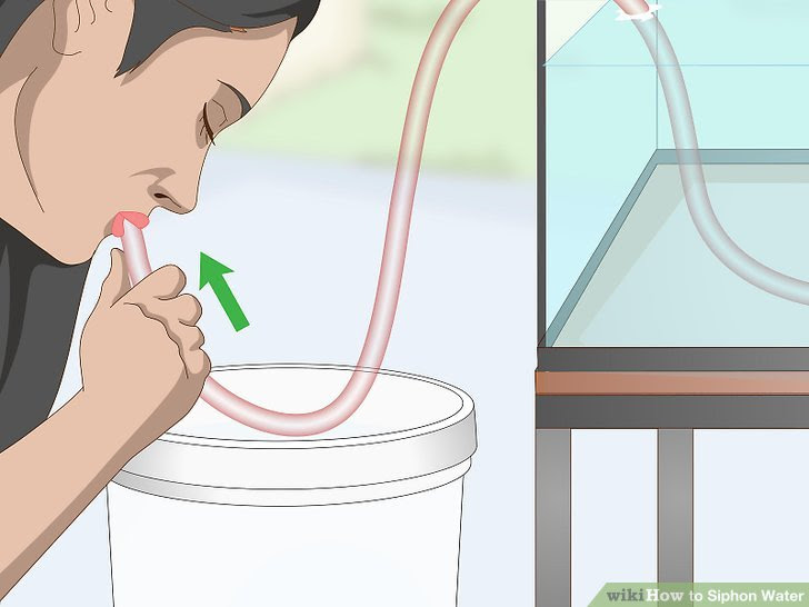Siphon Water Step 3 Version 2.jpg