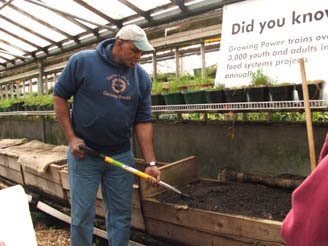aquaponics vs soil ~ best ponic