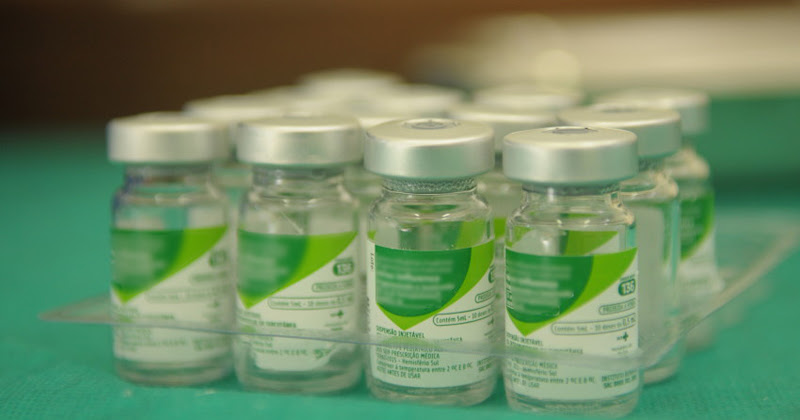 Conservante utilizado em vacinas tem potencial tóxico aos rins, mostram análises