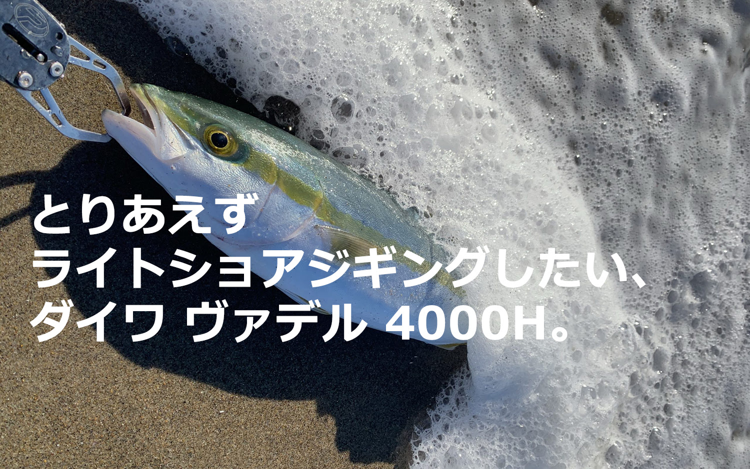 とりあえずショアジギングしたい ダイワ ヴァデル 4000h Life Is Lalala