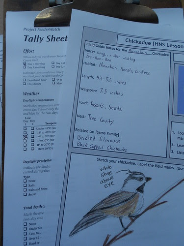 Chickadee journal
