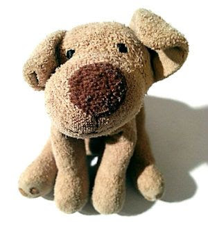 My first teddy 'Little Dog'