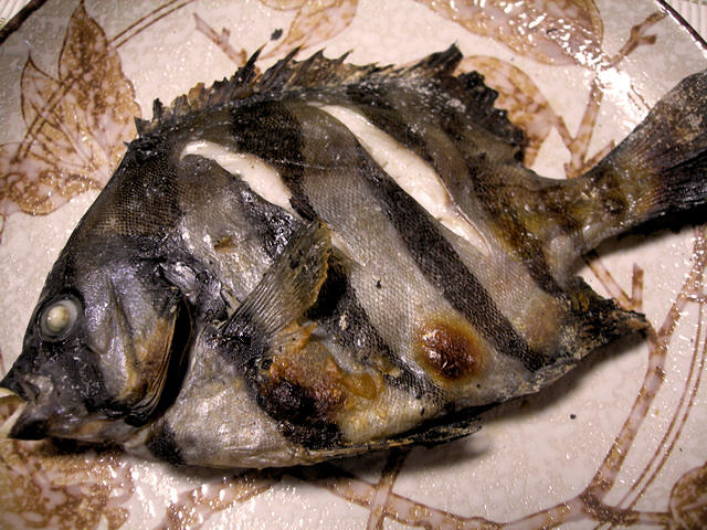 料理 我が家の釣り魚料理 焼物 塩焼き
