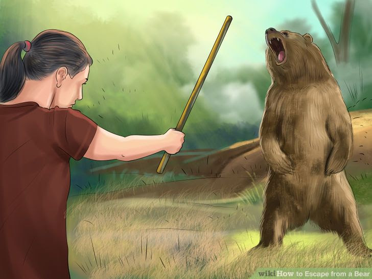 Escape from a Bear Step 19.jpg