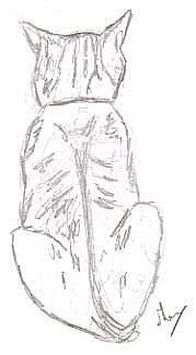 Chat de dos macmoore dessins Chat de dos macmoore dessins