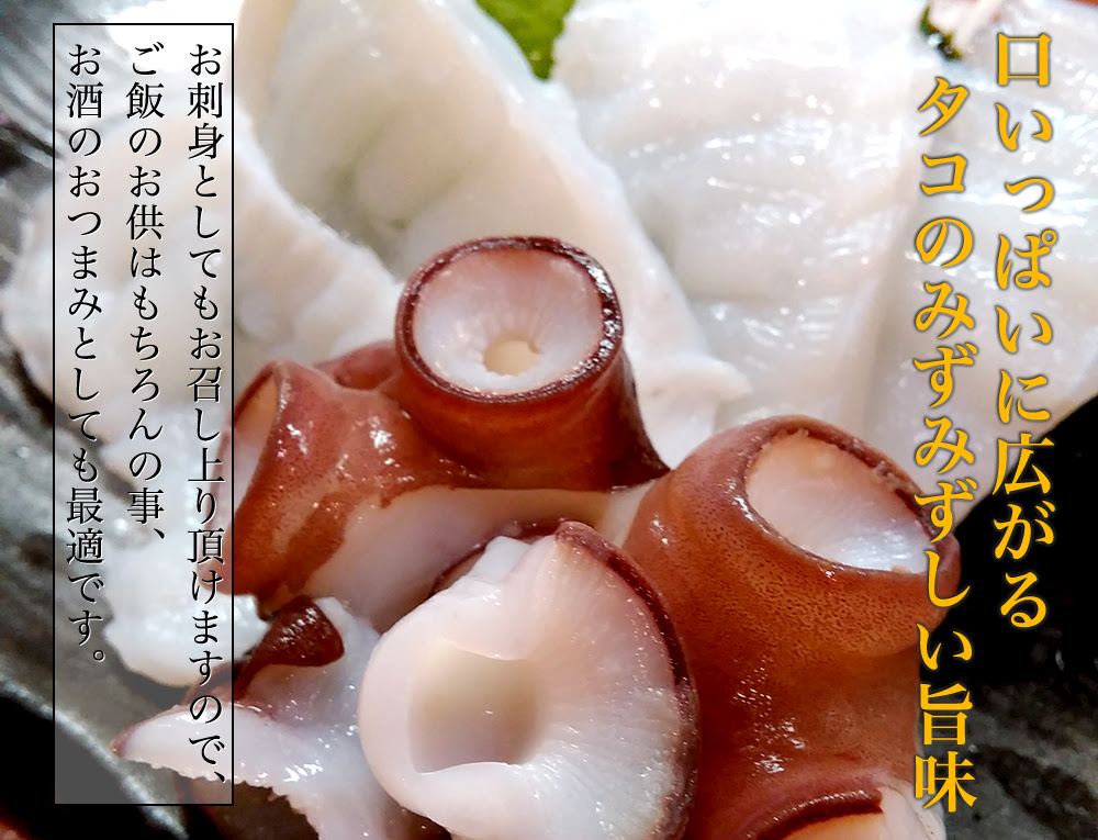 海産物通販の海夢 タコ 刺身用 北海道産 大きなタコ足を1本そのまま 刺身 たこ焼き 蛸 大サイズ タコ 約1kg