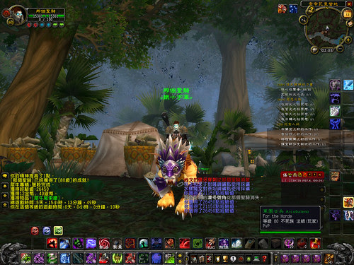 WoWScrnShot_121308_020343