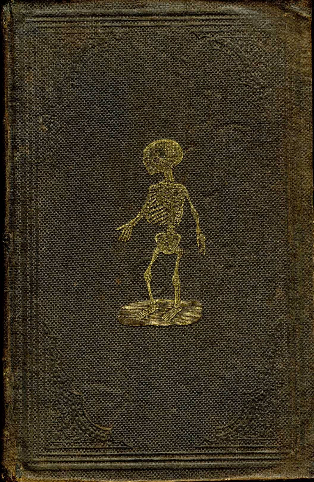 http://25.media.tumblr.com/tumblr_lzpu8fd92J1qc3h7bo1_1280.jpg