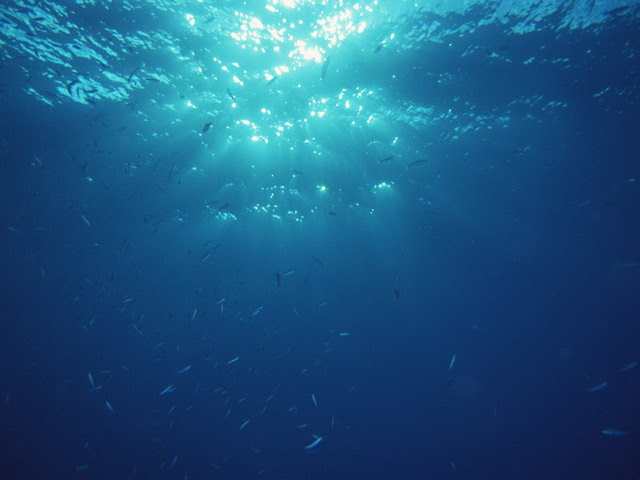 自己流背景の描き方 Monokuroid