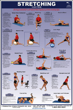 Exercises For Sciatica: Lower Back Stretching Exercises For Sciatica 