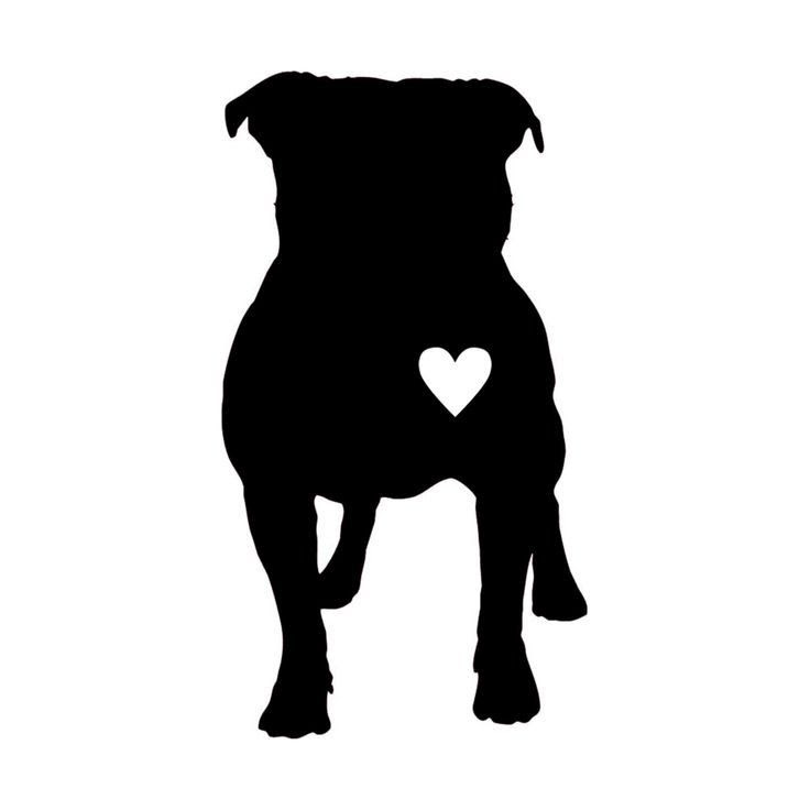 Download Pitbull Clipart | Free download on ClipArtMag