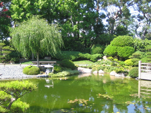 Japanese Garden