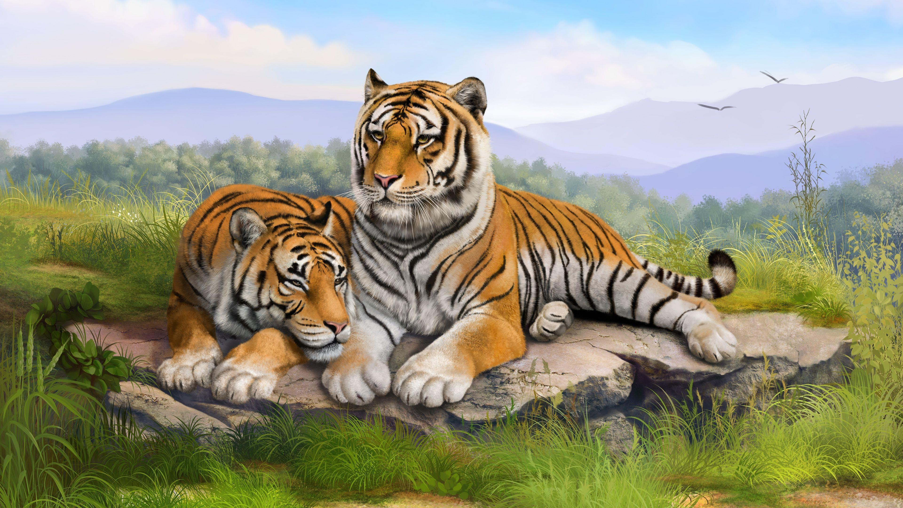 harimau hd wallpaper desktop lebar definisi tinggi harimau hd wallpaper desktop lebar definisi tinggi