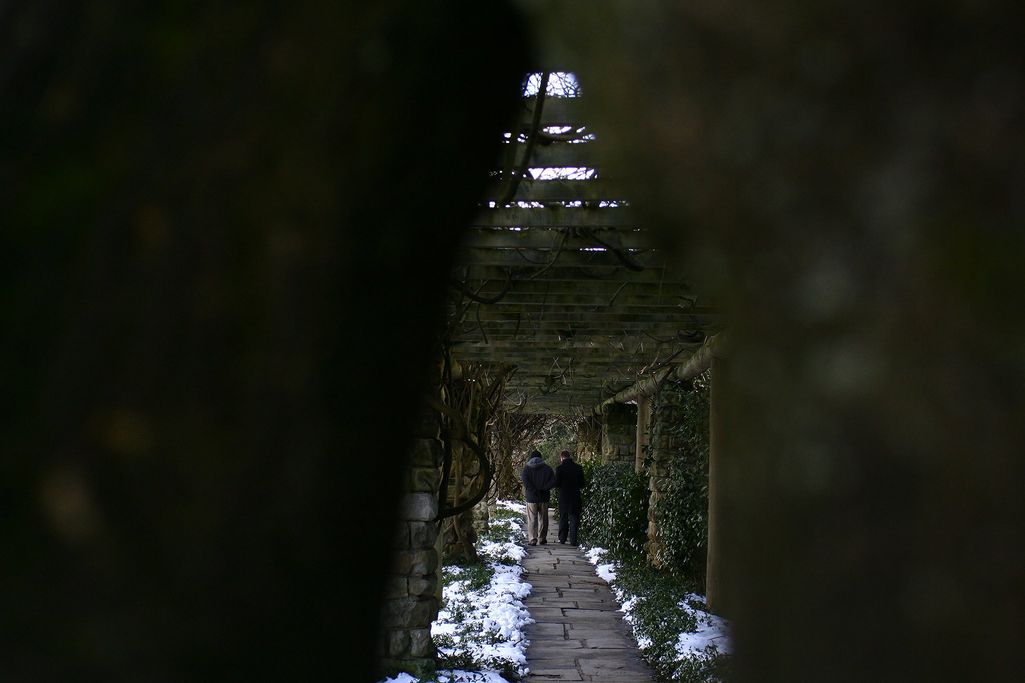 Dad and Ville deep in talk at Nymans Gardens.