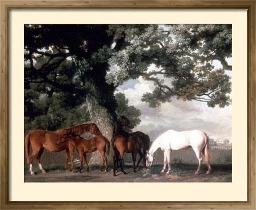 Framed Posters: - George Stubbs Mares & Foals In A Wooded Landscape Framed Art Print (73 x 87 cm) 