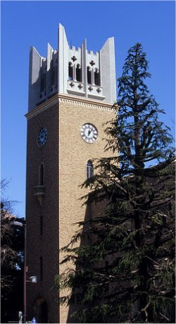 早稲田数学会 早稲田大学 数学科 人材育成 数学オリンピック