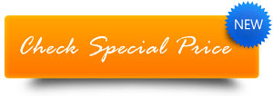 price Beyblade Treat Bags Party Accessory price Beyblade Treat Bags Party Accessory