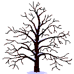  photo tree-seasons.gif