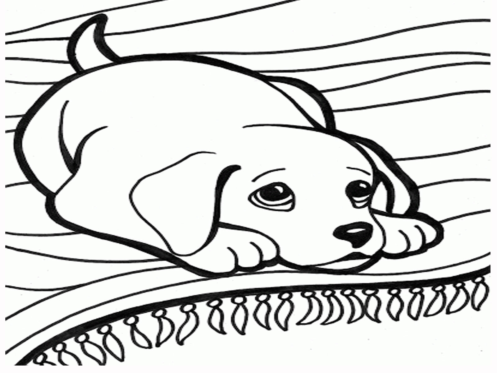 Download Cat and dog coloring pages to download and print for free