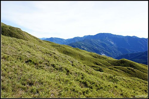 DSC06717