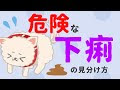 最高のコレクション 犬 血便 ゼリー状 下痢 300373-犬 血便 ゼリー状 下痢