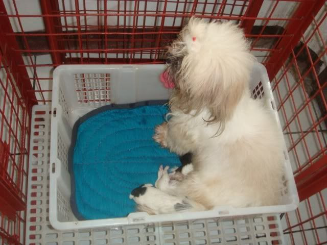 Motherly Diana