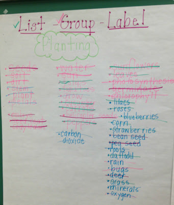 List-Group-Label - Reading Strategies & Misconceptions