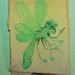 Short-Winged Dragonfly