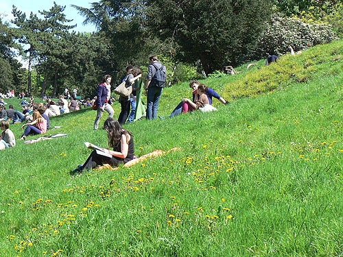 buttes chaumont herbe.jpg