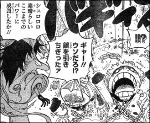 ワンピース どんどんスケール大きくなるパンクハザード編 ヤマカム