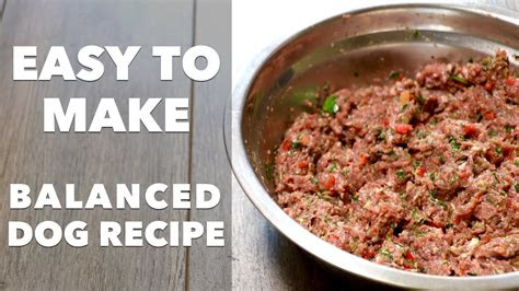 homemade dog food recipe youtube