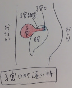 数日分の 福さん式 のまとめ Mamalife