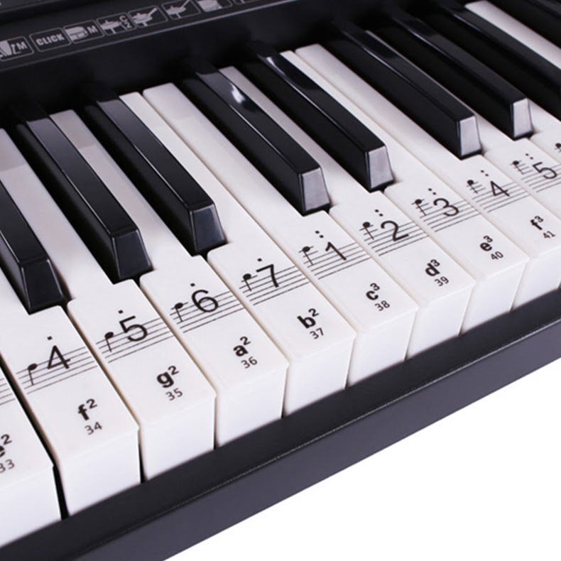 Hebikuo Piano Notes Sticker Universal Piano Stickers Piano ...