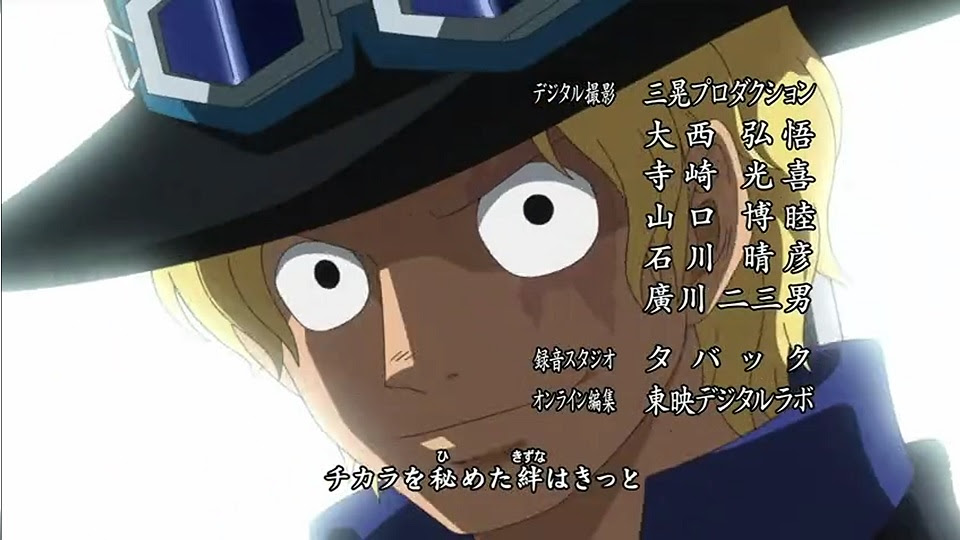 木陰の岩の眠り猫 One Piece アニメ感想