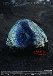 Black Stone 2015 Streaming VF DVDrip
