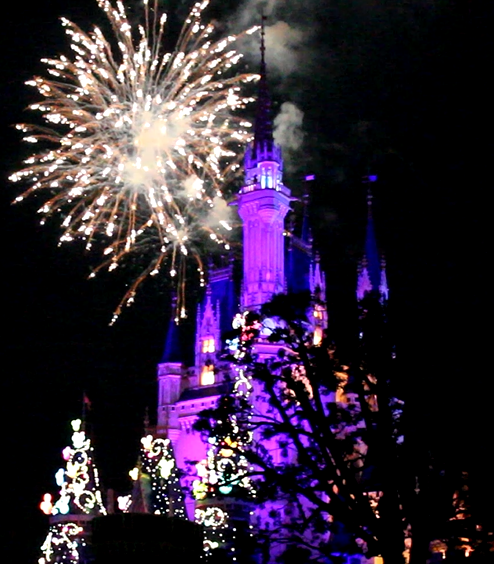 ディズニー カウントダウン 18年 19年の応募期間と方法は 裏ワザ購入方法ご紹介 楽しむ心