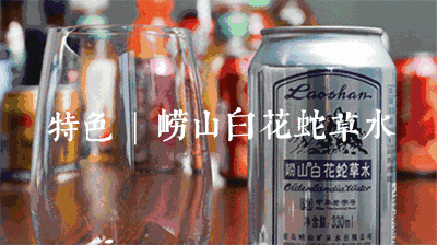 当歪果仁遇到白花蛇草水 这结局简直出人意料 青岛新闻网