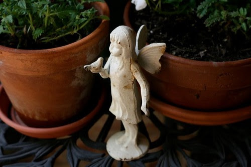 Fairy